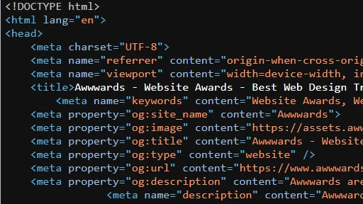 Snippet of website code